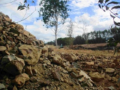 Bình Định: Điều tra doanh nghiệp khai thác đất trái phép