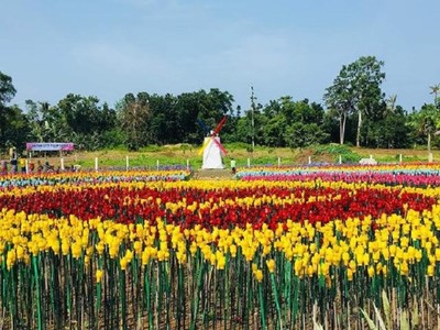 Rực rỡ vườn hoa tulip làm từ rác thải nhựa tại Philippines