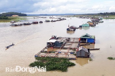 Gia tăng ô nhiễm nguồn nước sông Đồng Nai
