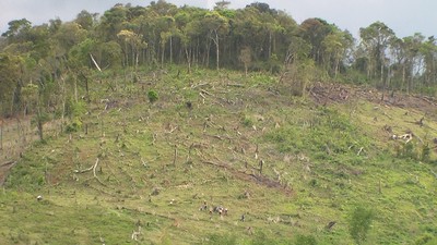 Kon Tum: Thành lập Hội đồng quản lý Quỹ Bảo vệ và Phát triển rừng