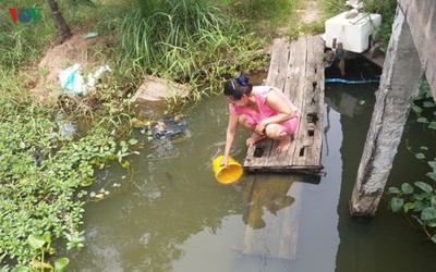 Nhiều hộ dân Tiền Giang bức xúc vì phải sử dụng nước kém vệ sinh