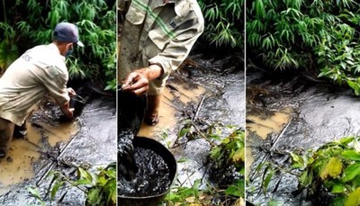 Thủ tướng chỉ đạo điều tra, làm rõ vụ ô nhiễm nước sạch sông Đà