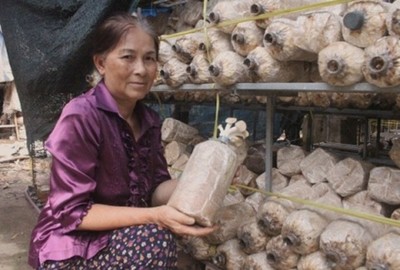 “Vua nấm” Bảy Yết: Người đầu tiên trồng nấm bào ngư ở Việt Nam