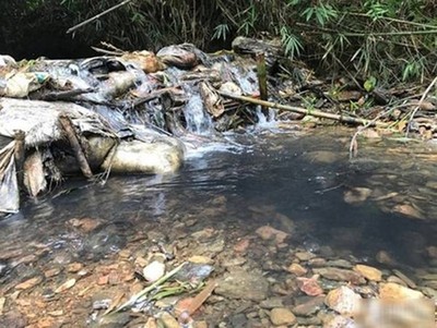 Súc rửa đường ống nước sông Đà liệu có loại được hết 'chất độc hại'?