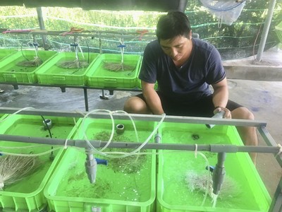 Khởi nghiệp nông nghiệp:Triển vọng từ mô hình nuôi lươn bể bạt nilon