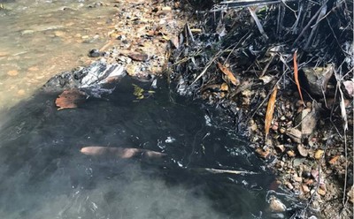 Bộ Công an thông tin vụ đổ trộm dầu thải vào nguồn nước sông Đà