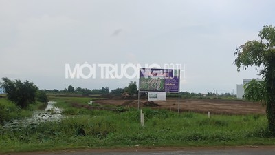 Phúc Land bán “lúa non” trên bãi đất trống tại dự án Lotus New City