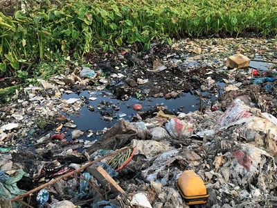 Hồ Linh Quang ngày càng ô nhiễm nghiêm trọng