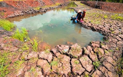 Biến đổi khí hậu và 5 nguy cơ đối với nông nghiệp Việt Nam