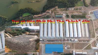 Bản tin Môi trường số 31/2019: Trại gà Hòa Phát Phú Thọ “hành” dân