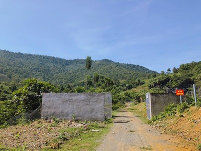 Phú Mãn, Quốc Oai: Doanh nghiệp 'ôm' đất rừng để 'xin' xây khách sạn