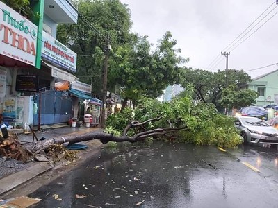 Đà Nẵng: Cây xanh đổ hàng loạt sau bão, nhiều đoạn đường bị ngập