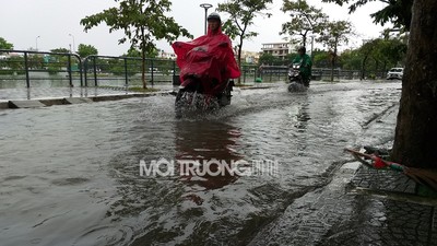 Đà Nẵng: Mưa lớn gây ngập đường, người dân dọn rác khơi miệng cống