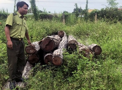 Chuyển Công an điều tra vụ việc BQL rừng để mất gần 1.500ha rừng