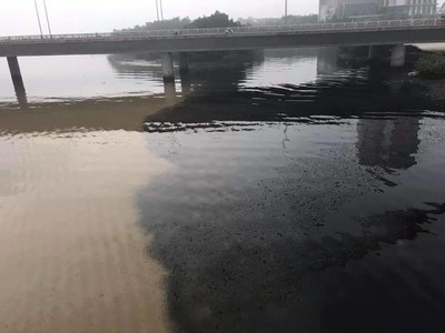 Đà Nẵng: Xác định nguyên nhân nước thải đen ngòm 'đầu độc' sông Hàn