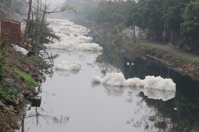 Ô nhiễm sông Nhuệ-Đáy: Xử phạt 183 cơ sở vi phạm về môi trường
