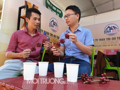Gia Lai: Rộn ràng Ngày cà phê Việt Nam lần thứ 3