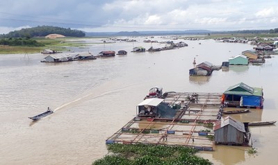 Chất lượng môi trường nước trên sông Đồng Nai đang bị ô nhiễm nặng