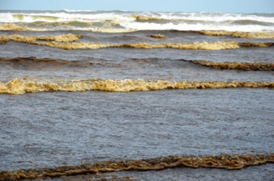 Nước biển Quảng Ngãi đổi màu lạ: Nồng độ pH vượt mức cho phép