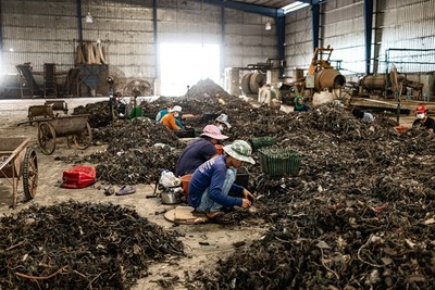 Cái giá của tái chế rác điện tử tại Thái Lan: 'Chúng ta sẽ chết dần'