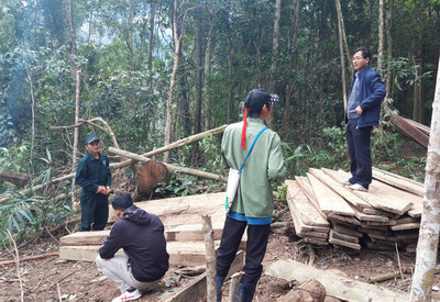 Kon Tum: Người dân “đại phá” rừng xanh về làm nhà
