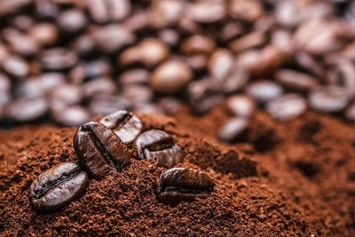 Giá cà phê hôm nay ngày 26/12: Tiếp tục tăng 300 đồng/kg