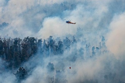 Australia yêu cầu 30.000 người sơ tán vì cháy rừng