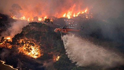 Biến đổi khí hậu nguy cơ xảy ra cháy rừng thường xuyên