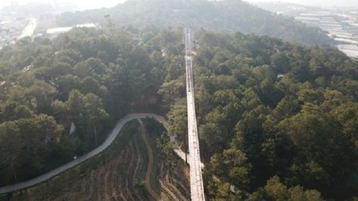 Phá rừng thông, xây cầu đáy kính không phép ở Đà Lạt