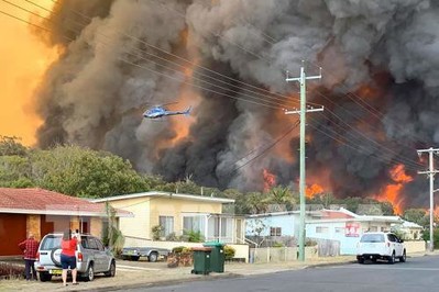 Cháy rừng ở Úc, phải mất đến 100 năm để phục hồi