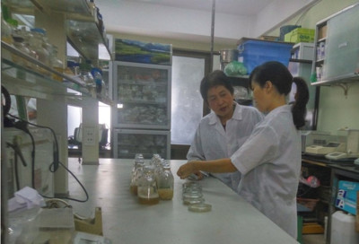 Nhà khoa học Việt cho ra mắt 3 chế phẩm sinh học xử lý rác thải nhựa