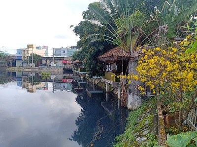 Yêu cầu xử lý hồ ô nhiễm nhất nhì Đà Nẵng trước Tết Canh Tý