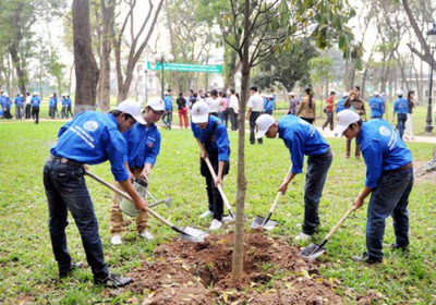 Hà Nội: Tổ chức lễ phát động Tết trồng cây từ Mồng 6 Tết