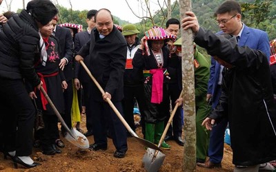Thủ tướng Nguyễn Xuân Phúc phát động Tết trồng cây tại Yên Bái