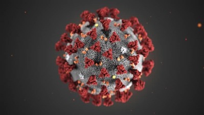 Nhật Bản cô lập thành công virus Corona, từng bước bào chế vắc xin