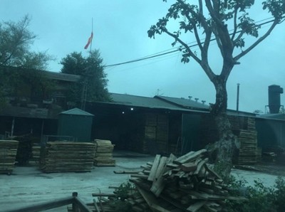 Lãnh đạo xã Kim Quan nói gì về khu xưởng gỗ bị tố lấn chiếm?