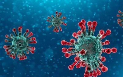 Bộ Y tế lý giải về 'tên mới' của virus corona là ‘SARS-CoV-2’