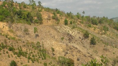 Gia Lai: Báo động tình trạng lấn chiếm rừng