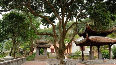 Vẻ độc đáo của ngôi chùa chốn rừng sâu, núi cao Chí Linh