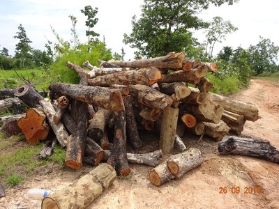 Gia Lai: Kiểm điểm các xã mất rừng