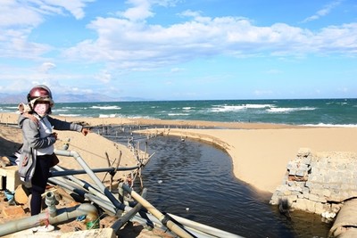 Nước thải từ nhiều trại tôm lớn ồ ạt xả thẳng ra biển Ninh Thuận