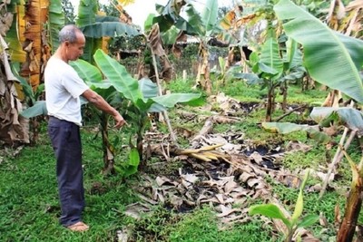 Xử nghiêm việc xả trộm chất thải nguy hại ở Thái Nguyên