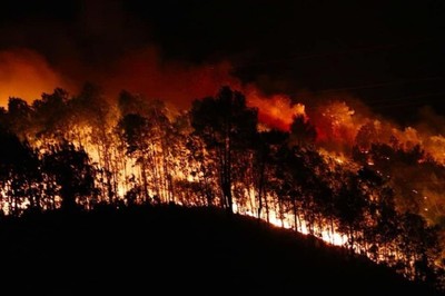 Cháy rừng do tự nhiên được coi là một loại hình thiên tai đặc thù