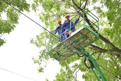 Hà Nội:Tập trung mở rộng hệ thống cây xanh, giữ gìn cảnh quan đô thị