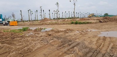 Hưng Yên phạt nặng doanh nghiệp tự ý san lấp 2,7 ha đất trồng lúa