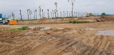 Hưng Yên: San lấp trái phép đất trồng lúa, 2 doanh nghiệp bị xử phạt