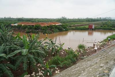 Tổng cục PCTT: DA sân golf Thuận Thành chỉ được xây 5% bãi sông