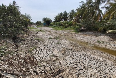 Hạn mặn ở Đồng bằng sông Cửu Long có thể kéo dài trong tháng 4