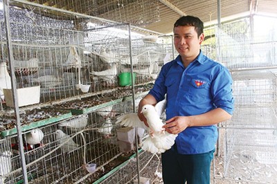 Hội hỗ trợ hiệu quả, nông dân Kinh Bắc khởi nghiệp làm giàu