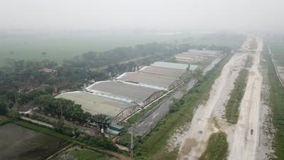 Hà Nam: Dân 'tố' trại lợn Cty Đông Xuân và Cty C.P gây ô nhiễm